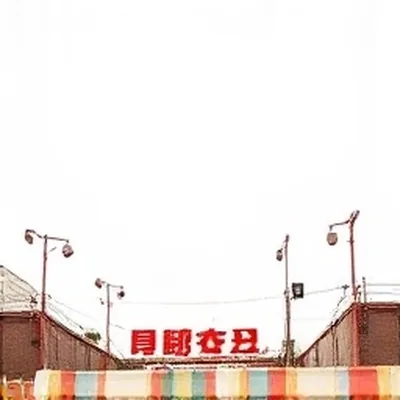 旧城十二时中十二只刻度各异的旧挂钟陈列